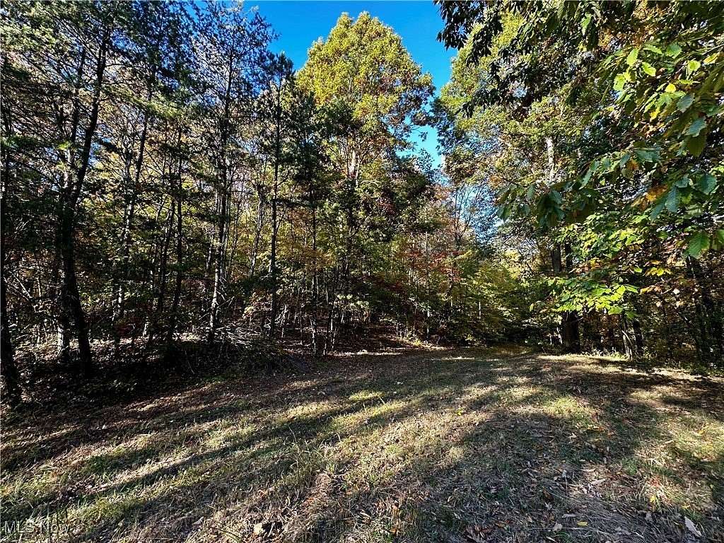 50 Acres of Recreational Land for Sale in St. Marys, West Virginia