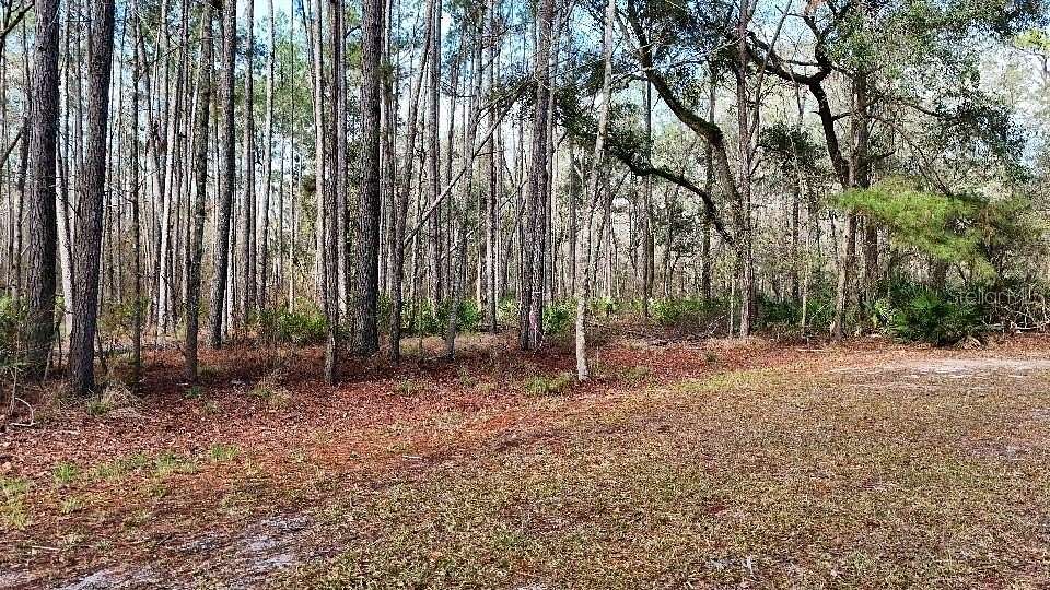 2.5 Acres of Residential Land for Sale in White Springs, Florida