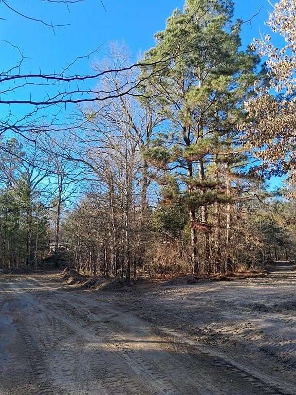 13.2 Acres of Recreational & Residential Land for Sale in Clarksville, Texas