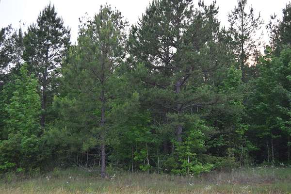 0.81 Acres of Commercial Land for Sale in Minden, Louisiana