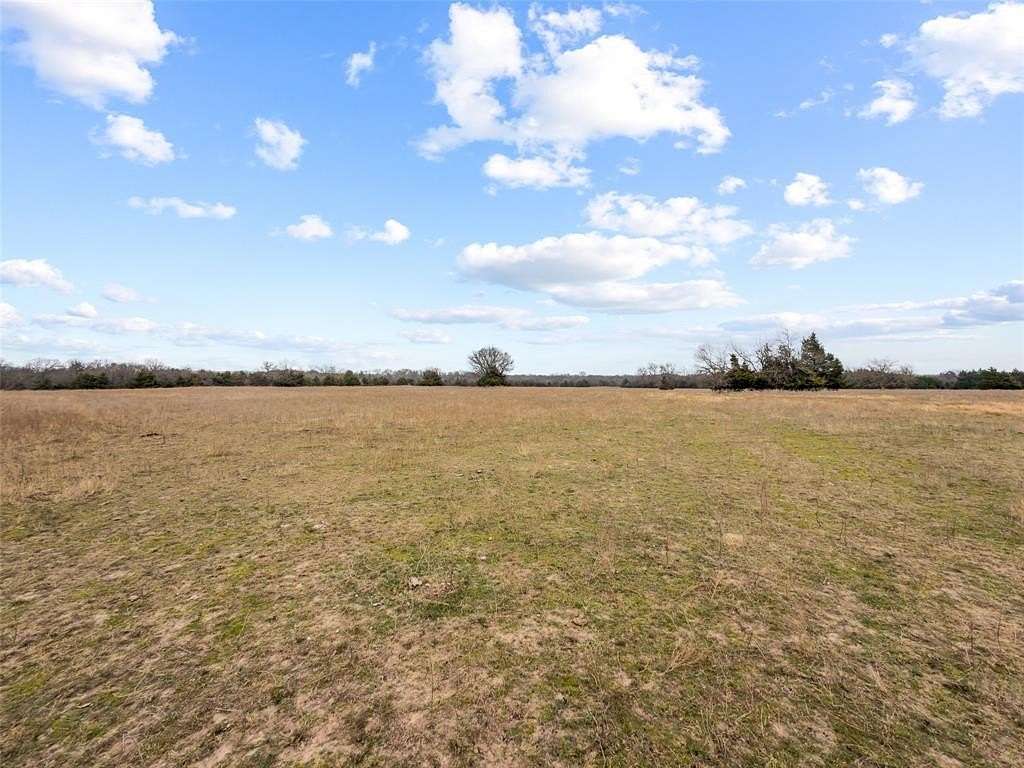 25.9 Acres of Agricultural Land for Sale in Savoy, Texas