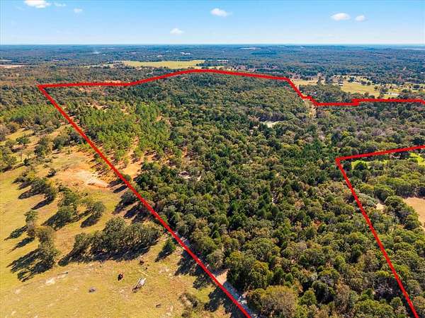 142 Acres of Land for Sale in Eustace, Texas