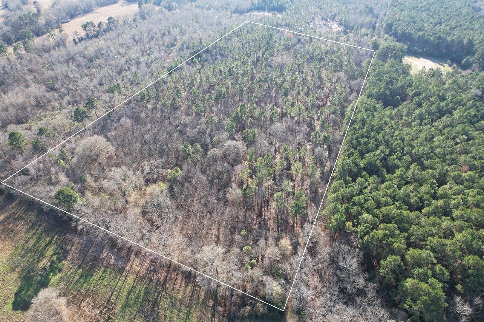 22 Acres of Recreational Land for Sale in Beckville, Texas