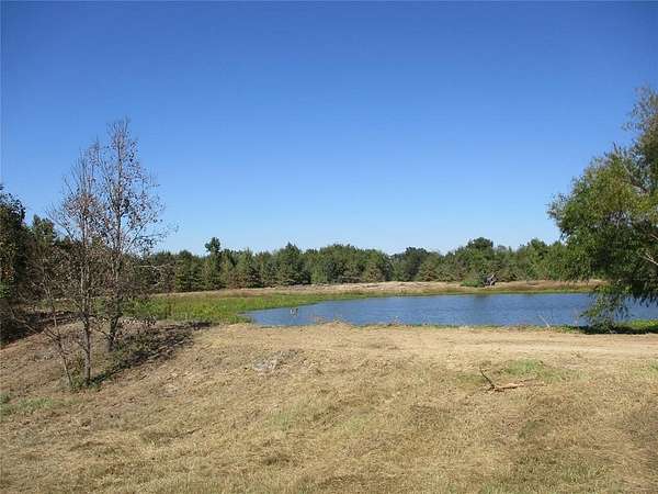 10.8 Acres of Agricultural Land for Sale in Emory, Texas