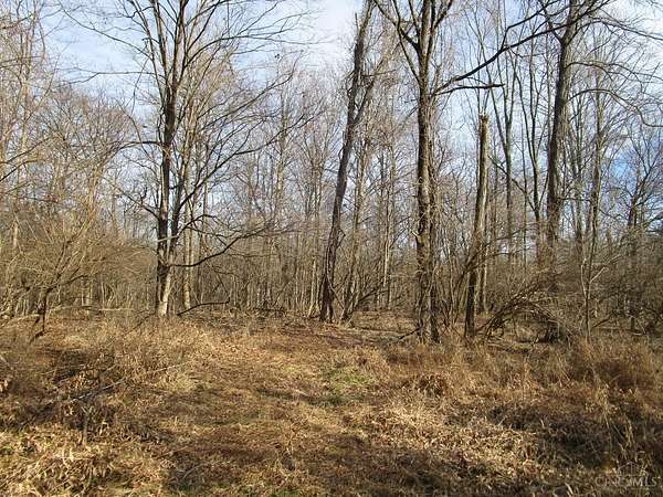 5.5 Acres of Residential Land with Home for Sale in Milford, Ohio
