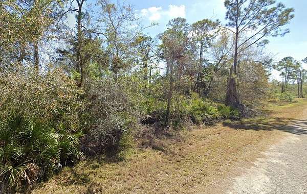 1.38 Acres of Residential Land for Sale in Lake Placid, Florida