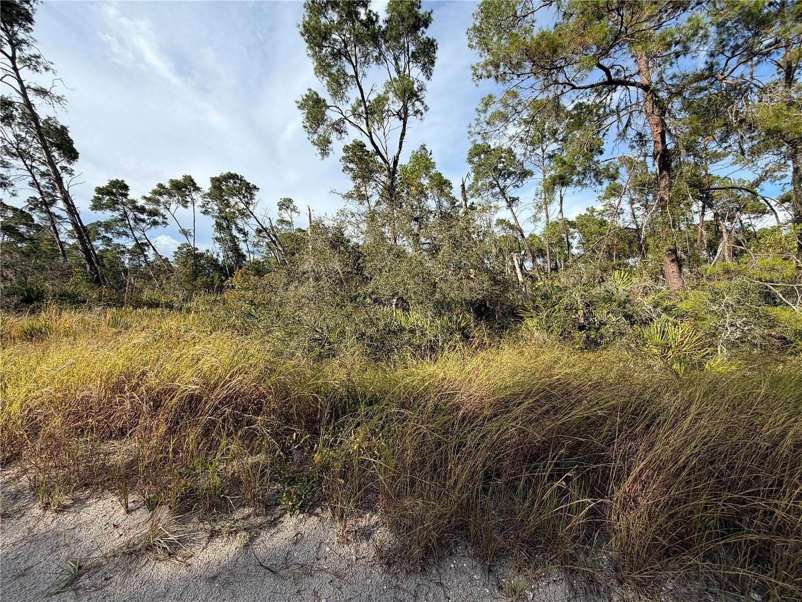 0.23 Acres of Residential Land for Sale in Sebring, Florida