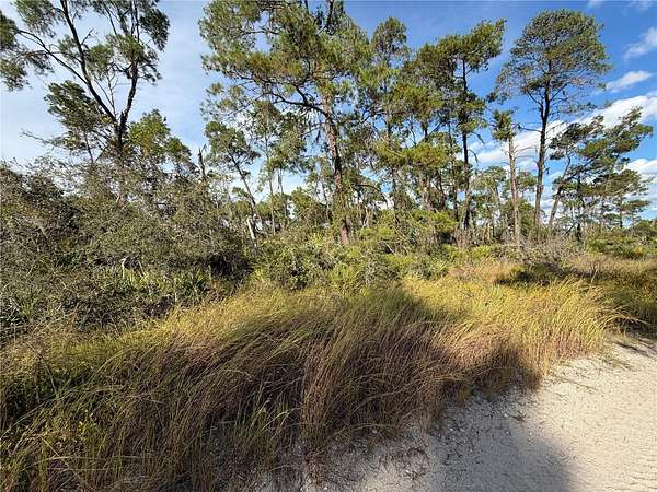 0.23 Acres of Residential Land for Sale in Sebring, Florida