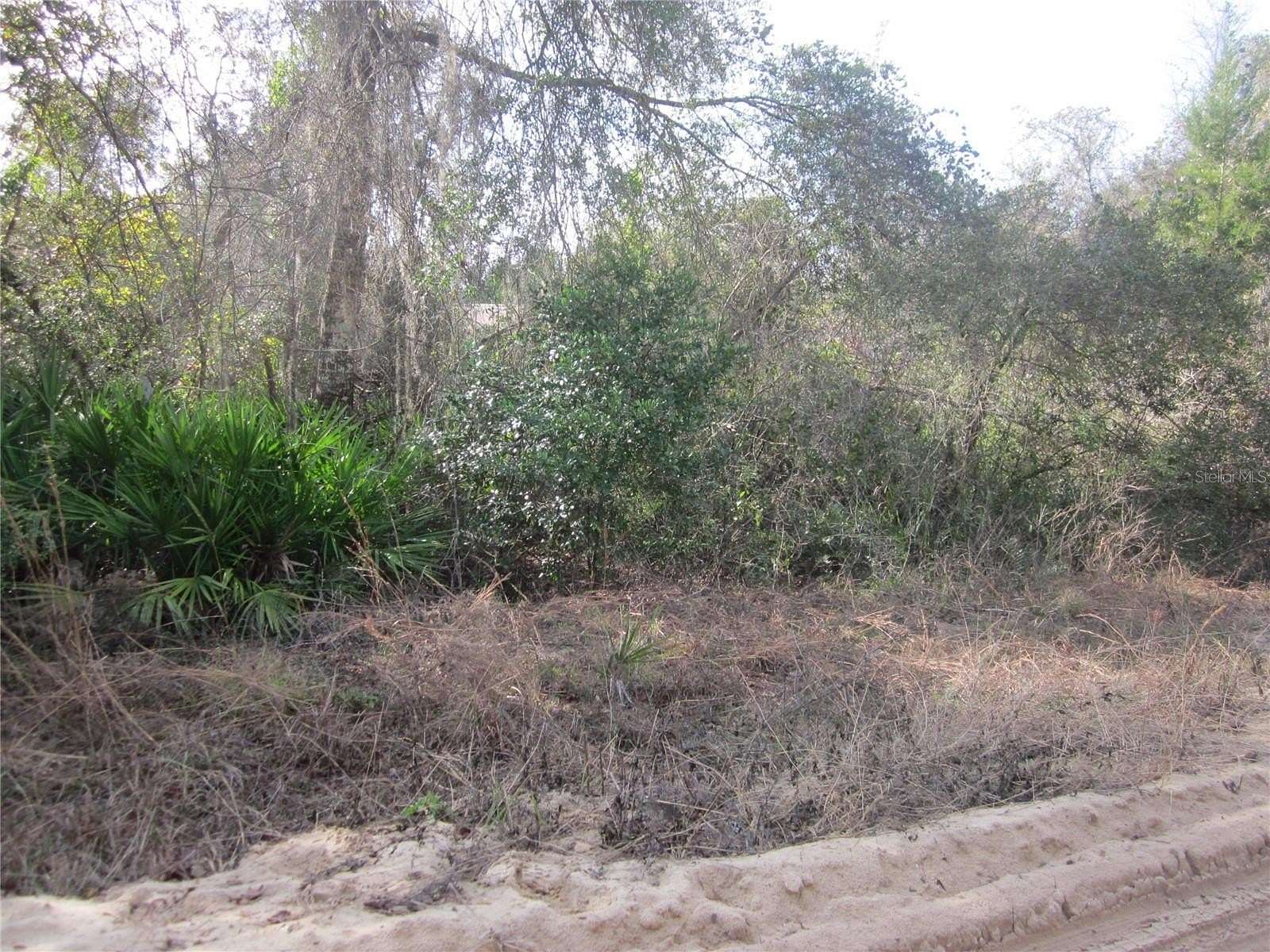 0.26 Acres of Residential Land for Sale in Fort McCoy, Florida
