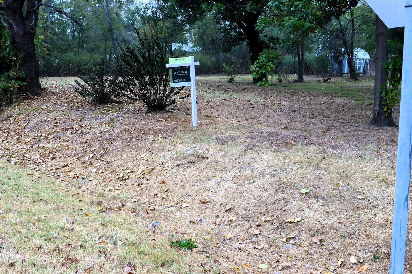 0.39 Acres of Commercial Land for Sale in Quinlan, Texas