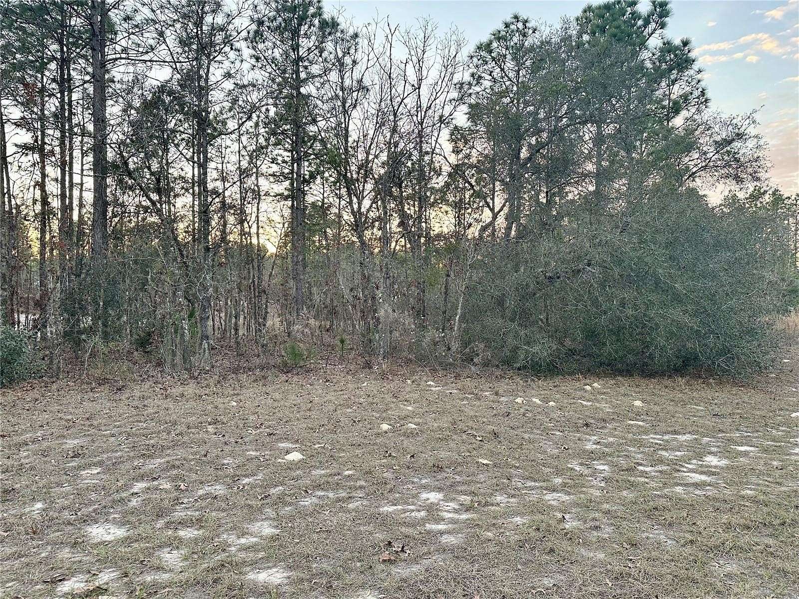 0.24 Acres of Residential Land for Sale in Ocala, Florida