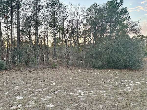 0.24 Acres of Residential Land for Sale in Ocala, Florida