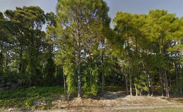 0.2 Acres of Residential Land for Sale in Palm Bay, Florida