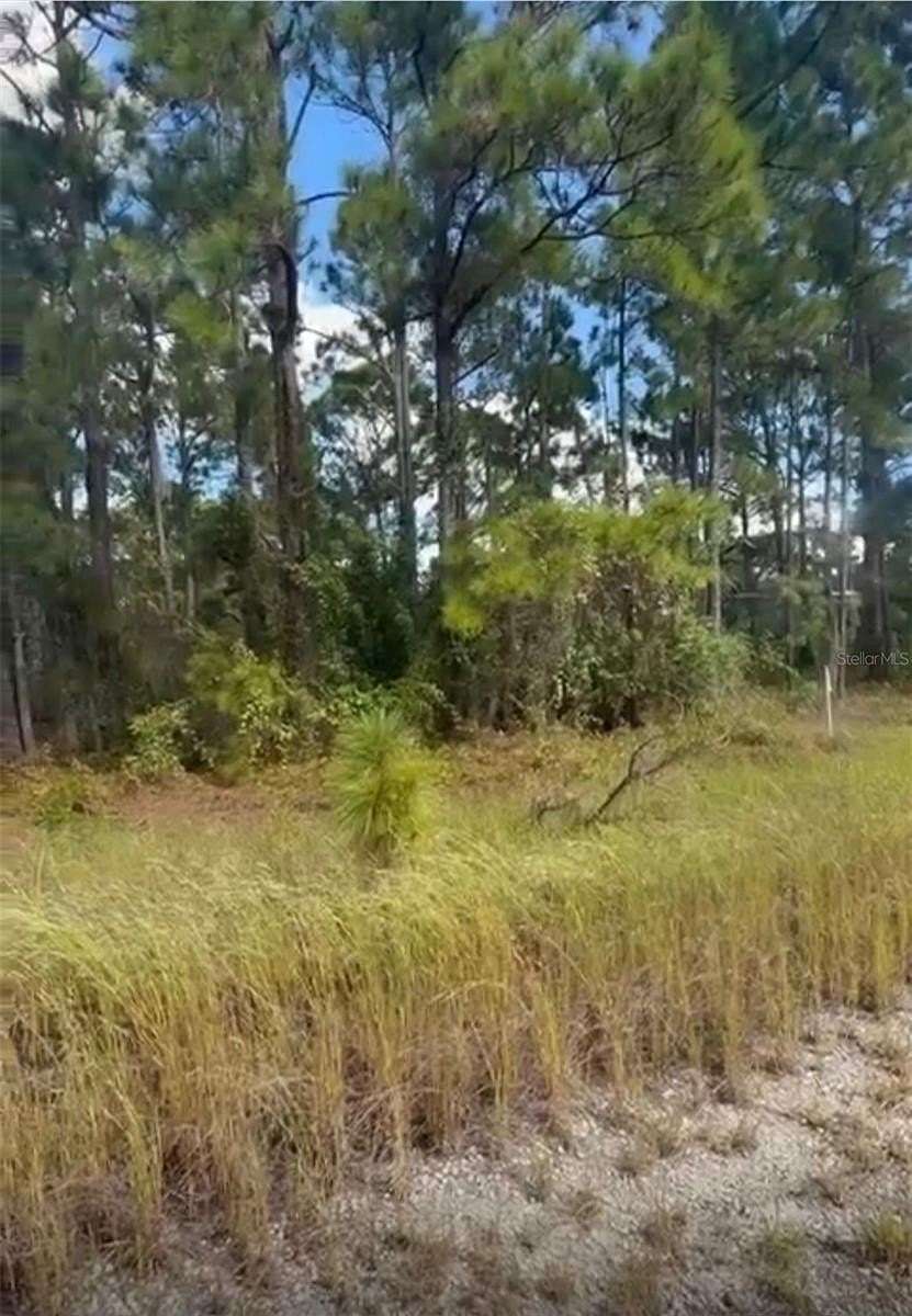 0.23 Acres of Residential Land for Auction in Lake Placid, Florida