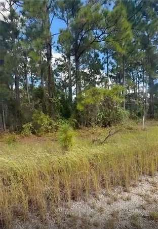 0.23 Acres of Residential Land for Auction in Lake Placid, Florida
