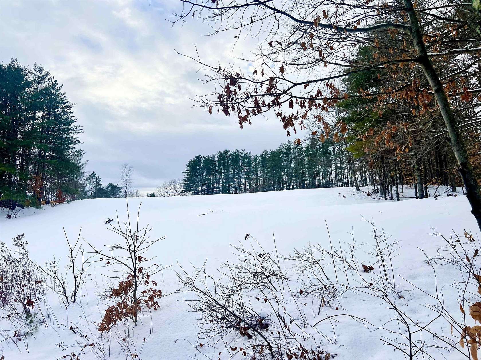 2.3 Acres of Residential Land for Sale in Alexandria, New Hampshire