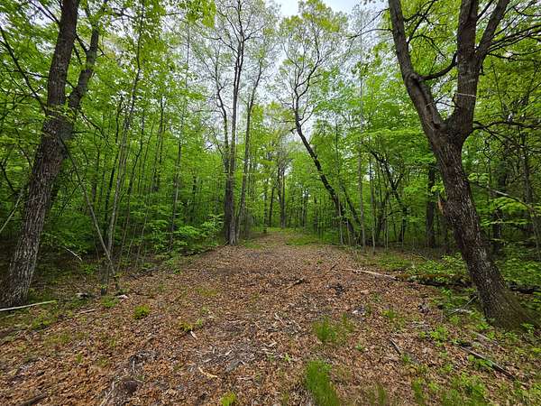 1.6 Acres of Land for Sale in Holcombe, Wisconsin
