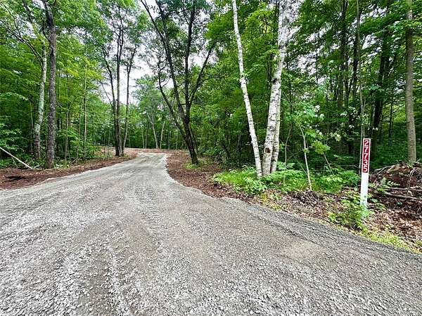 1.6 Acres of Land for Sale in Holcombe, Wisconsin