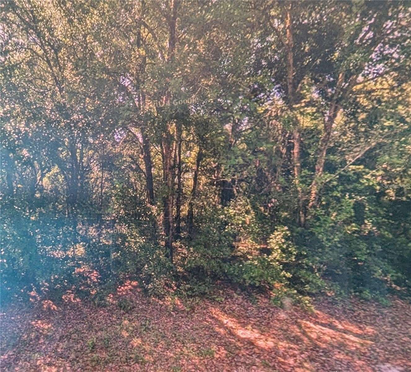 0.23 Acres of Residential Land for Sale in Dunnellon, Florida