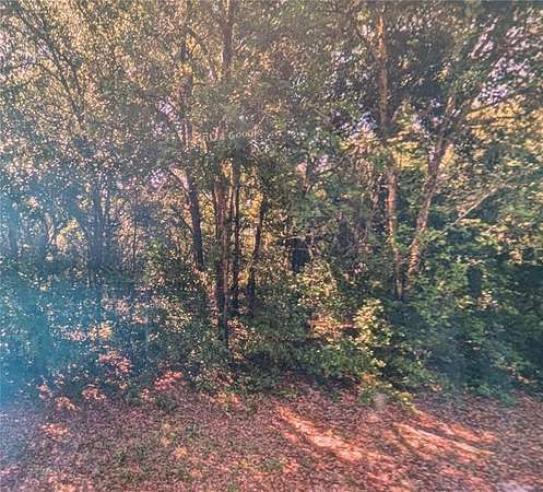 0.23 Acres of Residential Land for Sale in Dunnellon, Florida