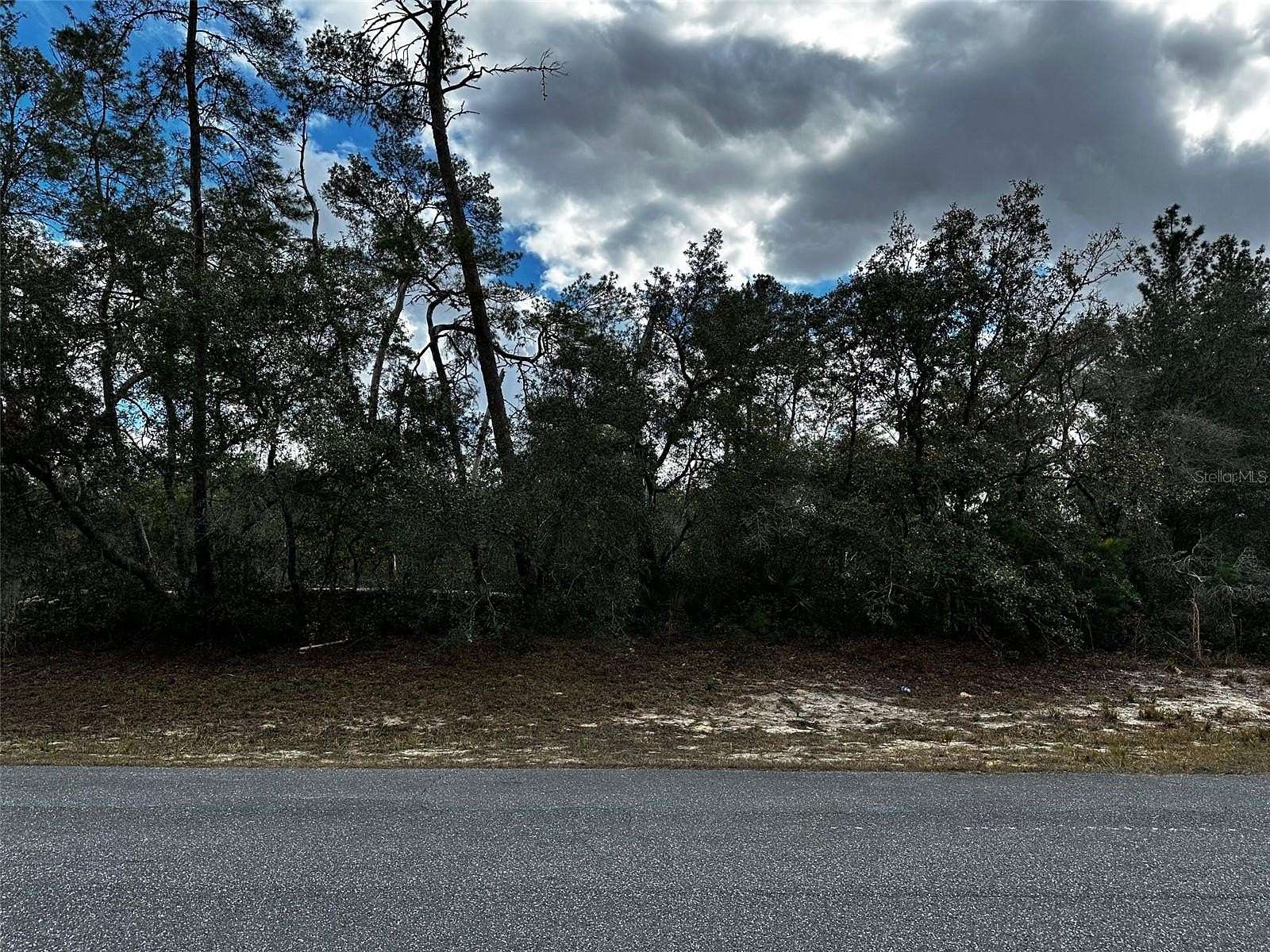0.23 Acres of Residential Land for Sale in Ocala, Florida
