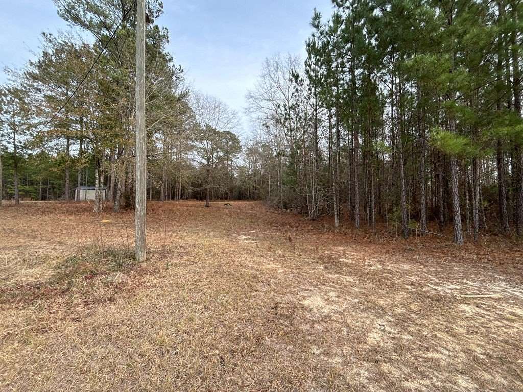 2 Acres of Residential Land for Sale in Abbeville, Georgia