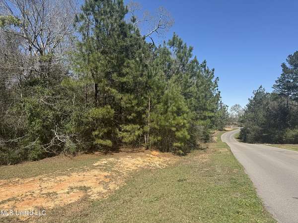 1 Acre of Residential Land for Sale in Perkinston, Mississippi