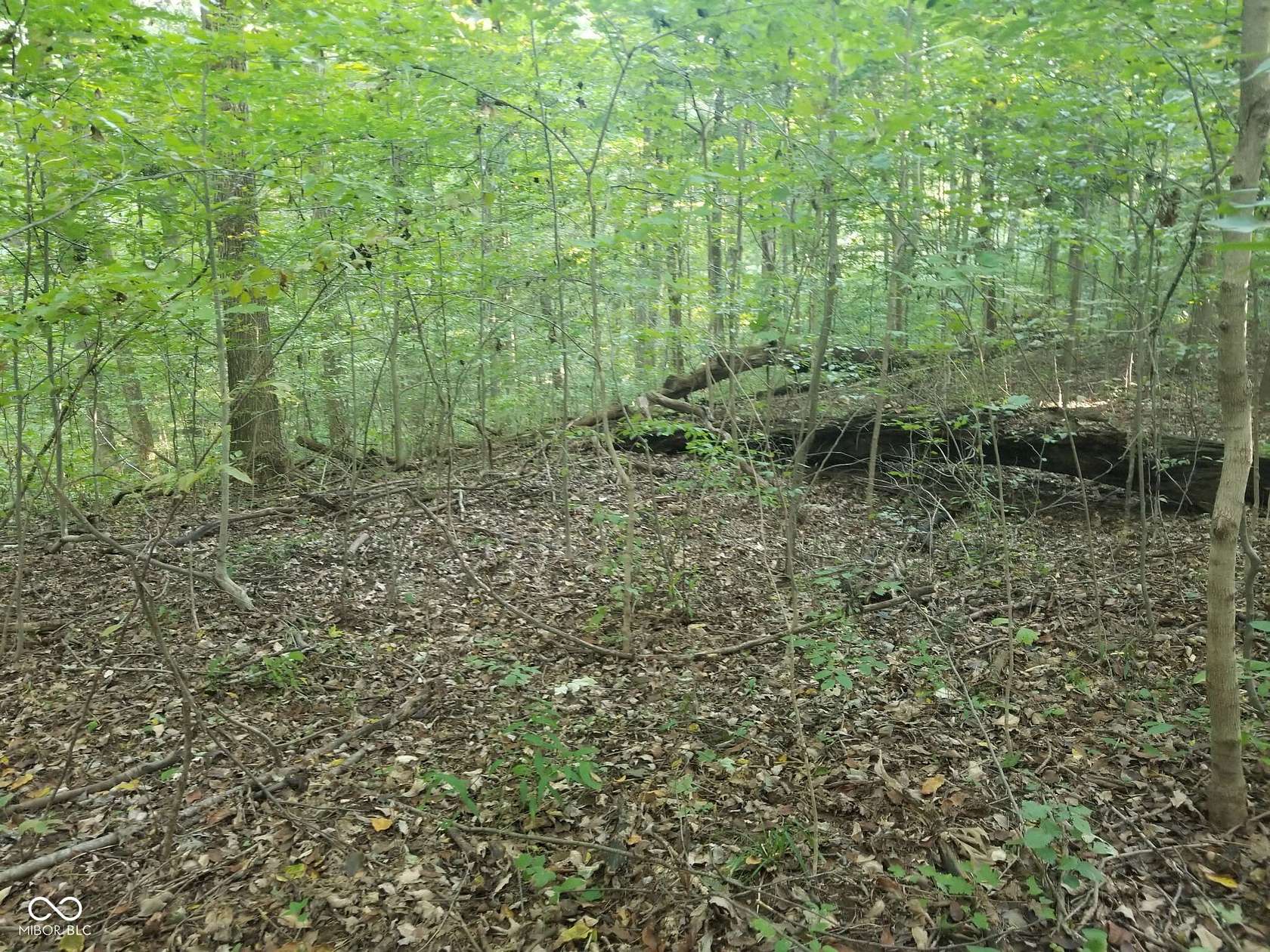 0.57 Acres of Residential Land for Sale in Coatesville, Indiana