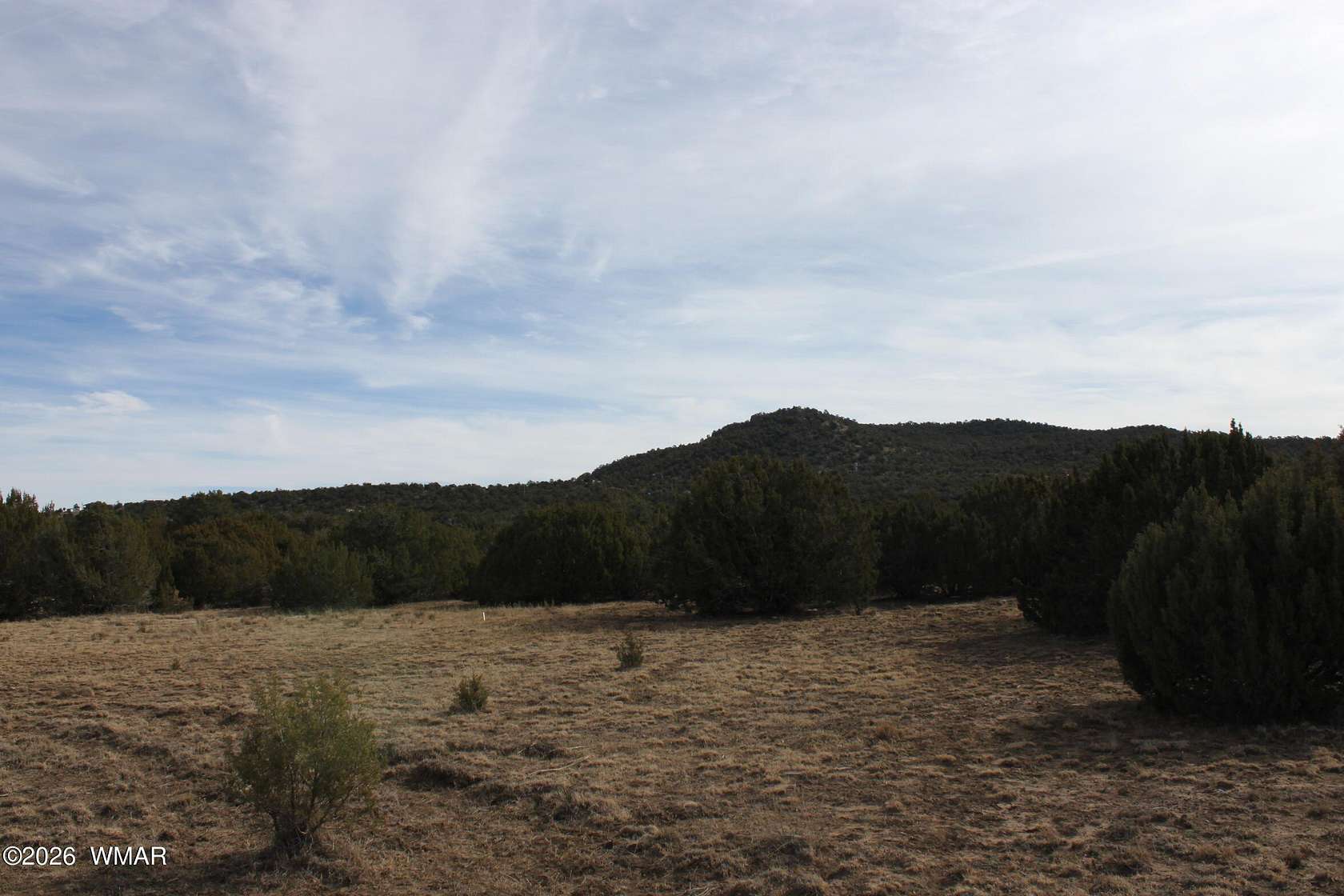 1.1 Acres of Residential Land for Sale in Concho, Arizona