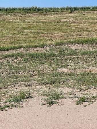 1 Acre of Residential Land for Sale in Wray, Colorado