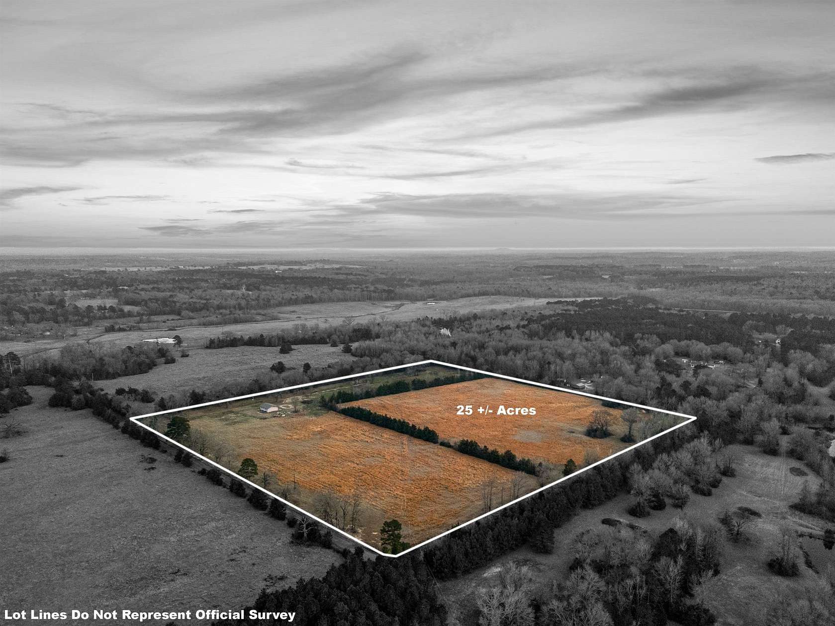 25 Acres of Land for Sale in Gilmer, Texas