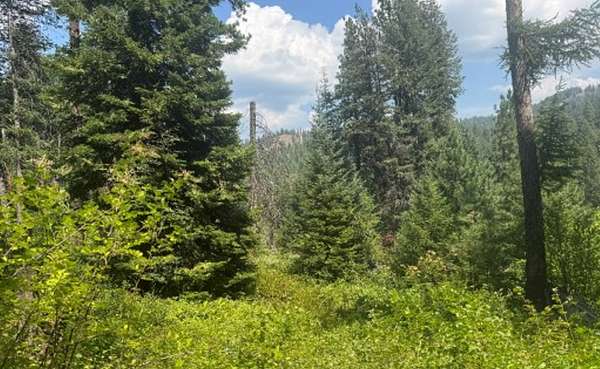 46 Acres of Recreational Land for Sale in Council, Idaho