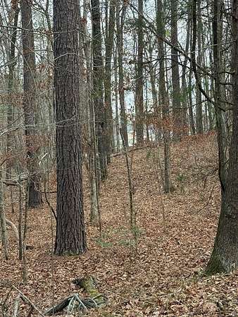 Land for Sale in Sparta, Georgia