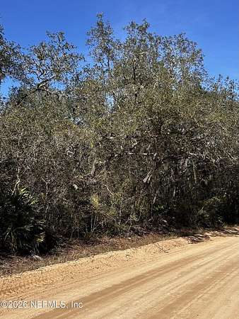 10 Acres of Land for Sale in Keystone Heights, Florida