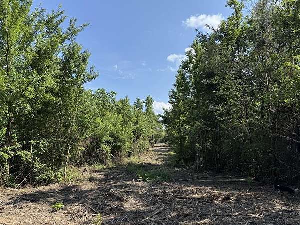 10 Acres of Land for Sale in Timpson, Texas