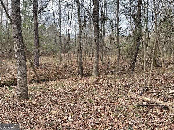29.1 Acres of Land for Sale in Winder, Georgia