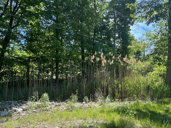 0.43 Acres of Residential Land for Sale in New Buffalo, Michigan