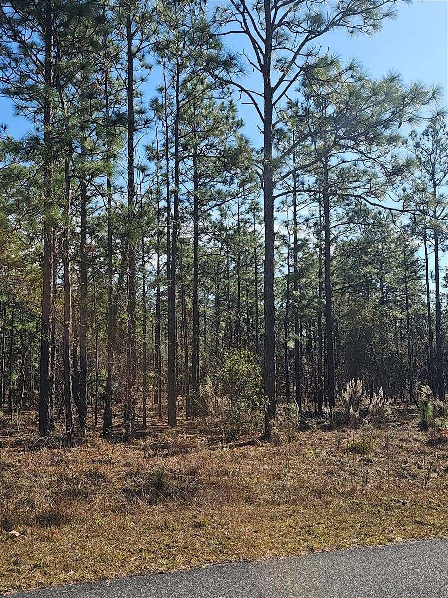 1 Acre of Land for Sale in Dunnellon, Florida