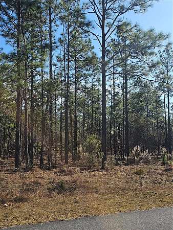 1 Acre of Land for Sale in Dunnellon, Florida