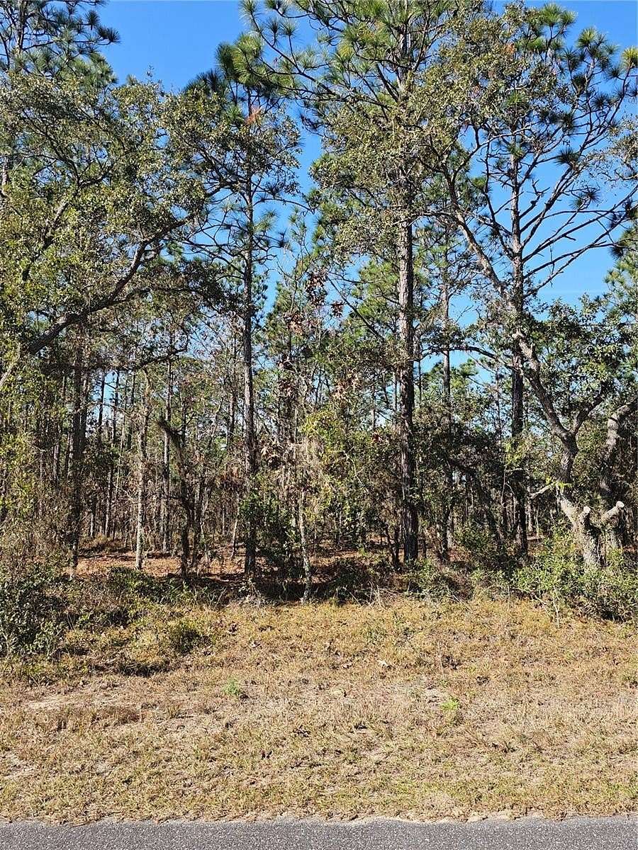1 Acre of Land for Sale in Dunnellon, Florida