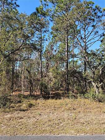 1 Acre of Land for Sale in Dunnellon, Florida
