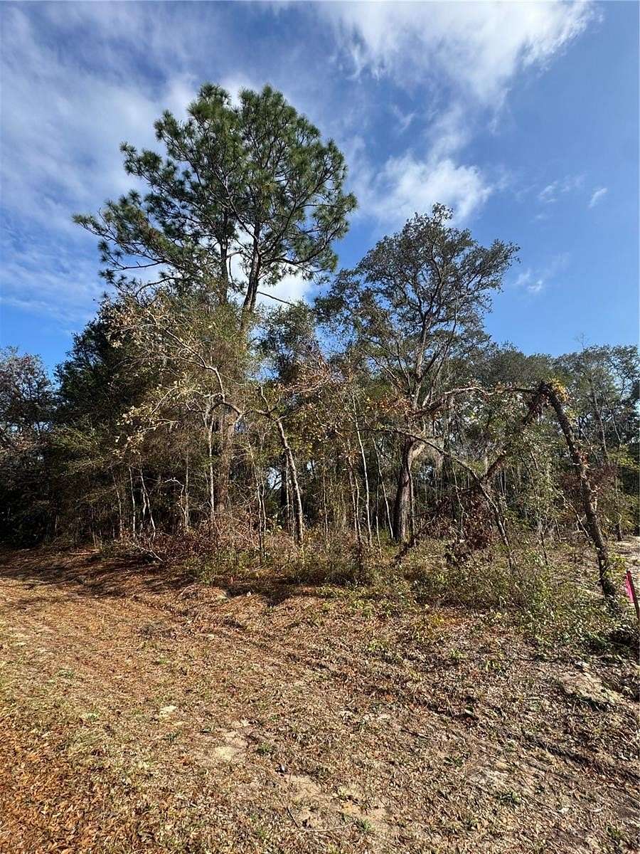 0.23 Acres of Residential Land for Sale in Ocala, Florida