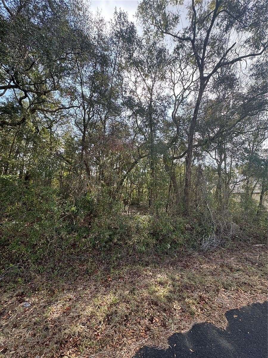 0.23 Acres of Residential Land for Sale in Ocala, Florida