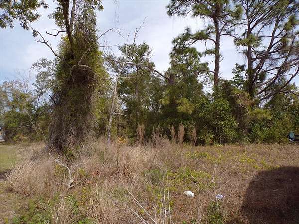 0.23 Acres of Residential Land for Sale in Spring Hill, Florida