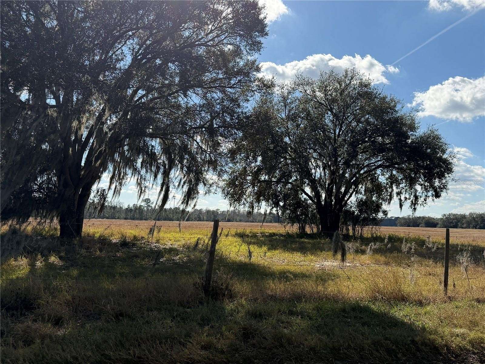 10 Acres of Land for Sale in Groveland, Florida