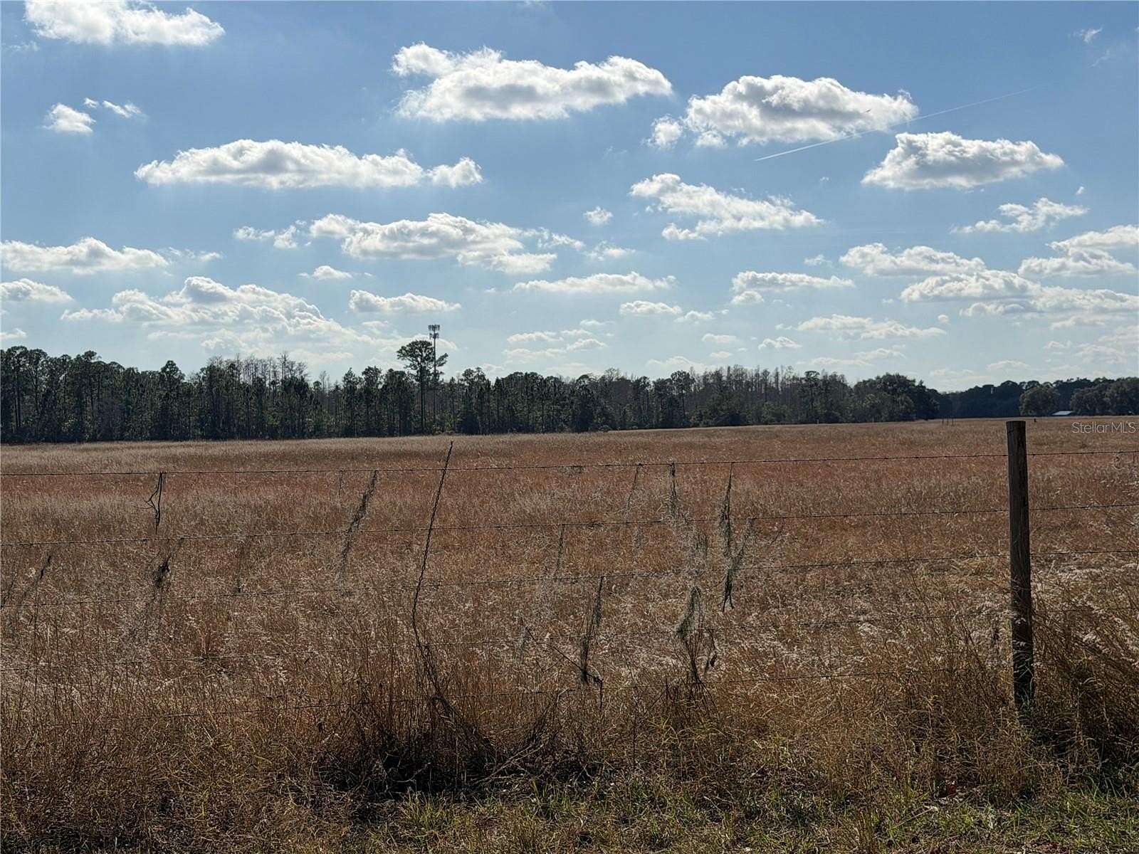 10 Acres of Land for Sale in Groveland, Florida