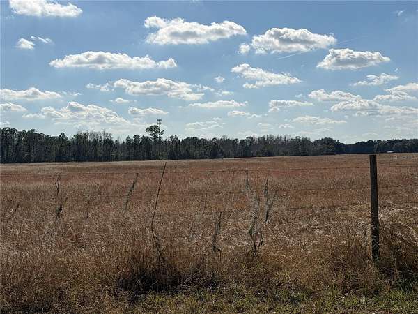 14.8 Acres of Land for Sale in Groveland, Florida