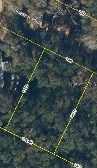 0.22 Acres of Residential Land for Sale in Interlachen, Florida