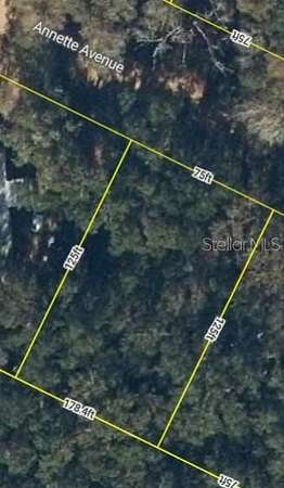 0.22 Acres of Residential Land for Sale in Interlachen, Florida