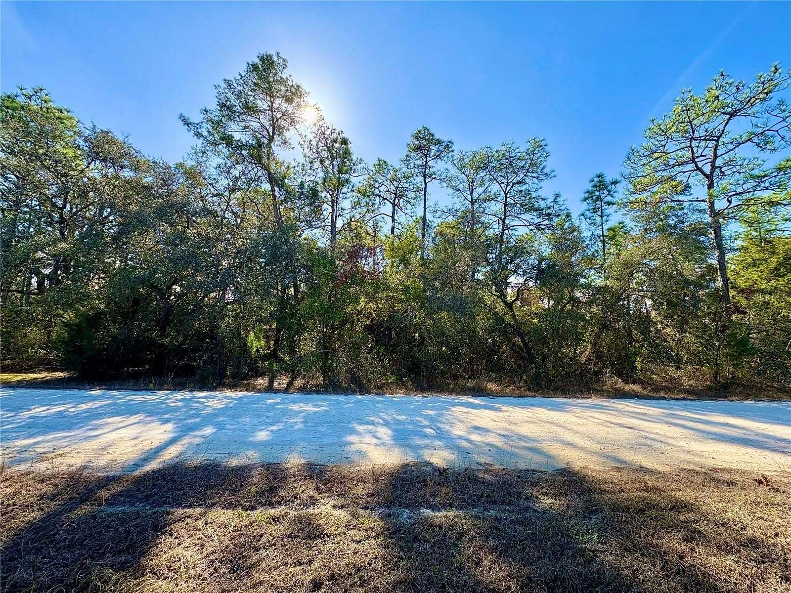 1.8 Acres of Residential Land for Sale in Weeki Wachee, Florida